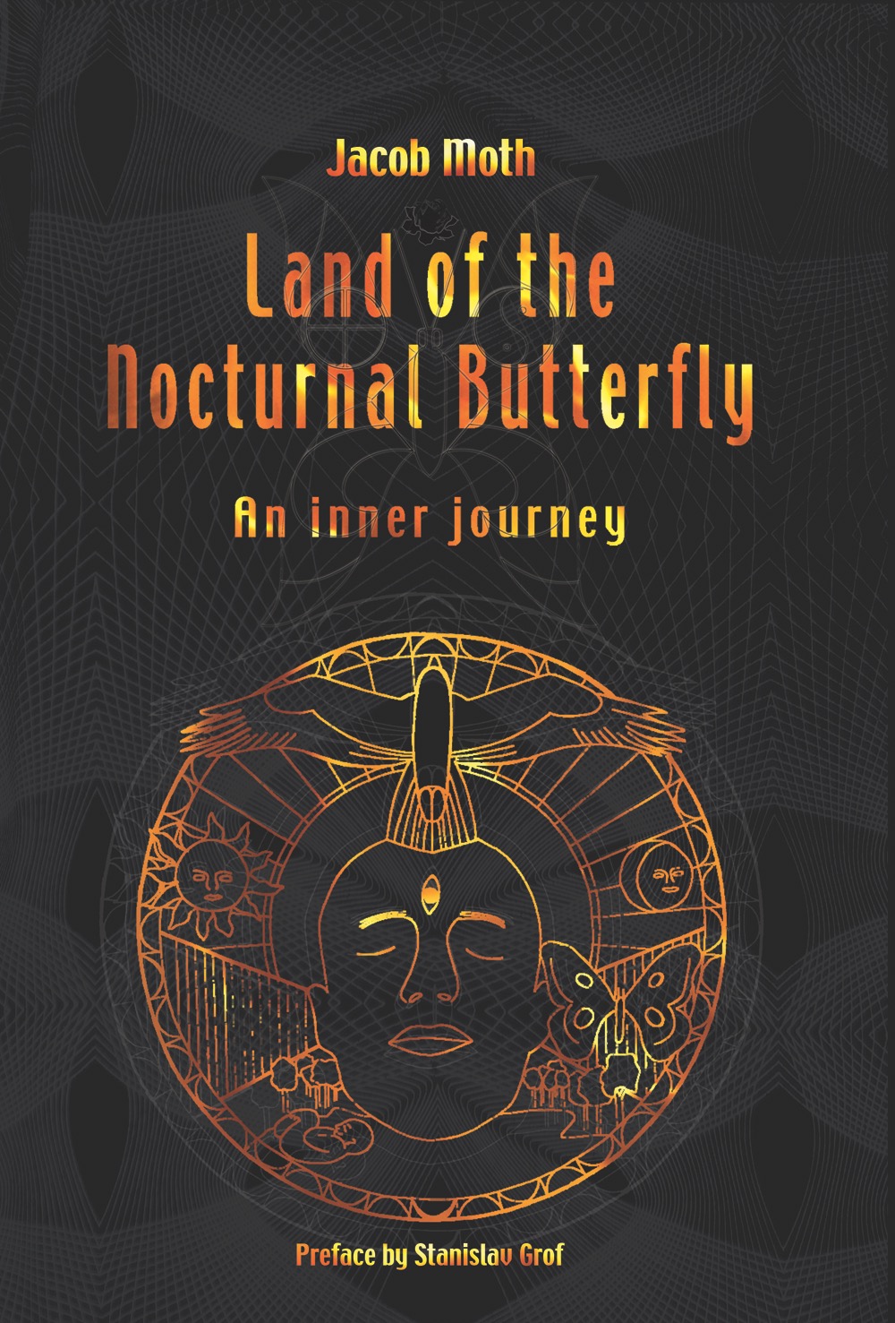 Land of the Nocturnal Butterfly book cover